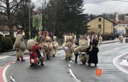 Carnival procession in Ilirska Bistrica. Photo: A. Jerin, 2024