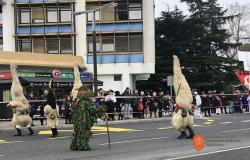 Carnival procession in Koper. Photo: A. Jerin, 2024