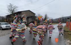 Pustarji v Grgarskih Ravnah. Foto: M. Špiček, 2024 