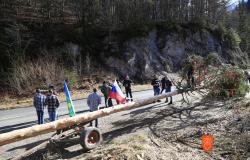 Pulling the plank in Gorje. Photo: M. Špiček, 2024