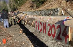 Pulling the plank in Gorje. Photo: M. Špiček, 2024