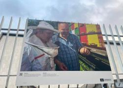 Beekeeping from Slovenia is presented at the exhibition. Photo: G. Hrastelj, 2024