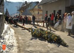 Vleka ploha v Planini pod Golico. Foto: A. Jerin, 2022