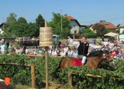 Posavsko štehvanje. Foto: N. Židov, 2022 