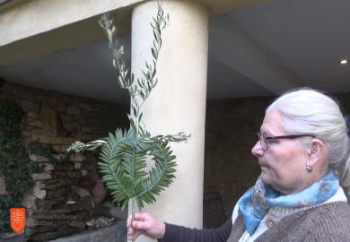 Nadja Bažec. Foto: V.Kovač, 2015