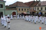 Vuzemski plesi in igre v Metliki. Foto: G. Kušar, 2011