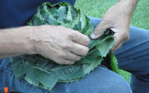 Martin Matkovič while making a hat from chestnut leaves.  