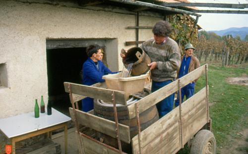 The Drašiči Neighbourhood. 