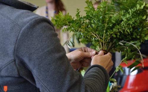 Making Palm Sunday bunches in Škale. 