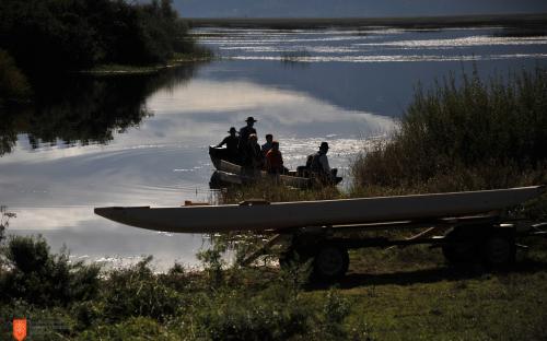 Launching drevak boat on Cerknica Lake. 