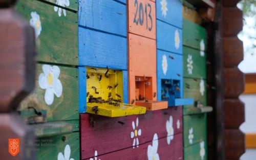 Building beehives and apiaries