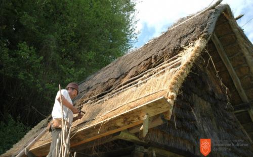 Thatching. 