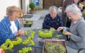 Weaving St. John’s wreaths. 