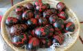 Prekmurje decorated Easter eggs. 