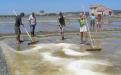 Traditional production of sea salt. 