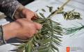 Making Palm Sunday branches. 
