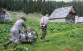 Mountain pasturing and dairying. 
