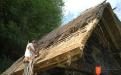 Thatching. 