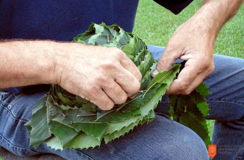 Making hats from chestnut leaves. Photo: A. Matkovič, 2011 