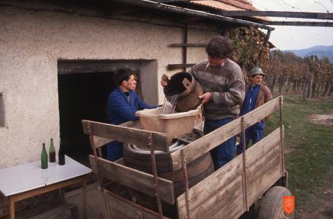 The Drašiči neighbourhood. Photo: A. Dular, 1992 