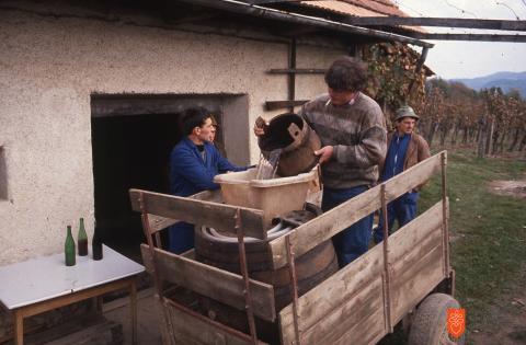 Photo: Andrej Dular, 1992. 