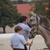 The Slovenian Lipizzan breeding Association. Photo: N. Tanko, 2018