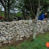 Rudi Bak while building dry stone wall. Photo: Eda Belingar, 2014. 