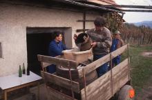 The Drašiči neighbourhood. Photo: A. Dular, 1992 
