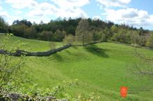 Dry stone walling. Photo: E. Belingar, 2014 