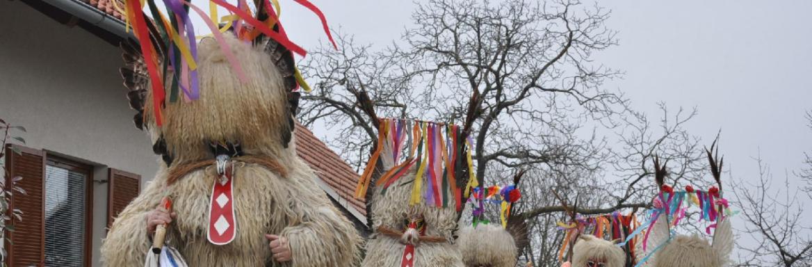 Foto: Tjaša Oman, 2011