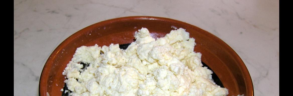 Foto: Maja Godina Golija, 2010 