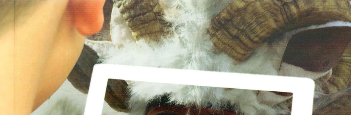 Dokumentiranje in predstavljanje nesnovne kulturne dediščine s filmom