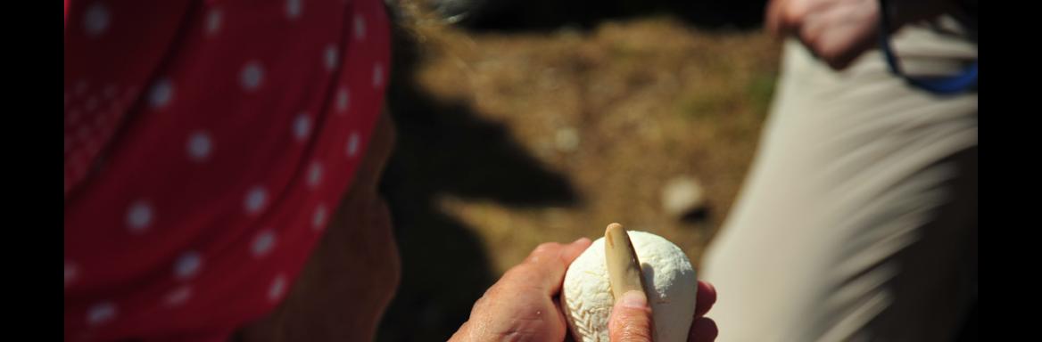 Foto: Anja Jerin, 2013. 