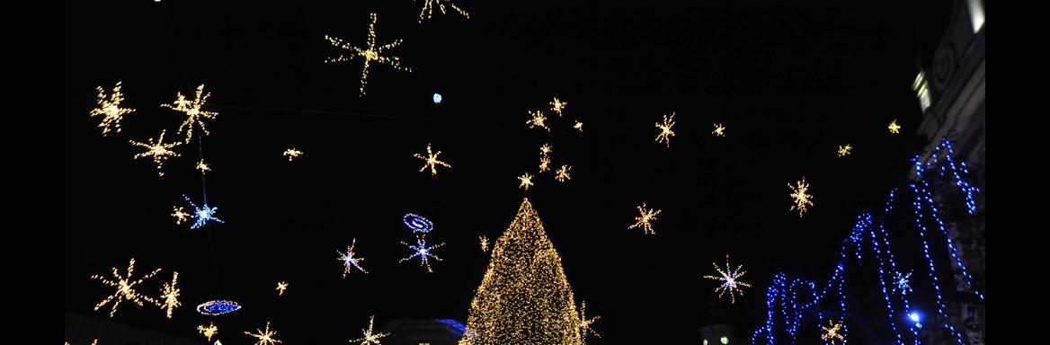 Foto: Anja Jerin, 2015. 