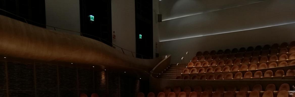 Edoardo Zosi igra na violino iz leta 1570, Muzej violin, Cremona. Foto: A. Pukl, 2019