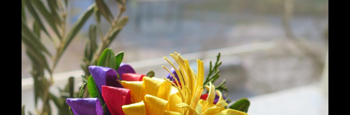 Cvetonedeljska butara in oljka. Foto: A. Jerin, 2016. 