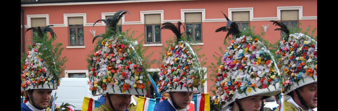 Foto: Tjaša Zidarič, 2015. 