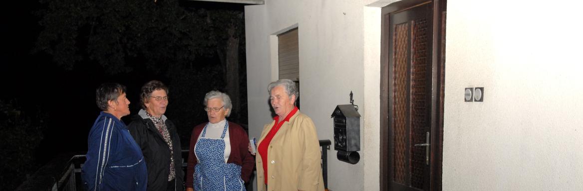 Kresno koledovanje v Adlešičih in okolici. Foto: U. Šivic (Arhiv GNI ZRC SAZU), 2009