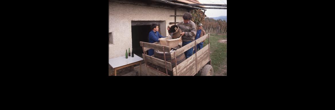 Soseska Drašiči(Foto Andrej Dular, 1992)