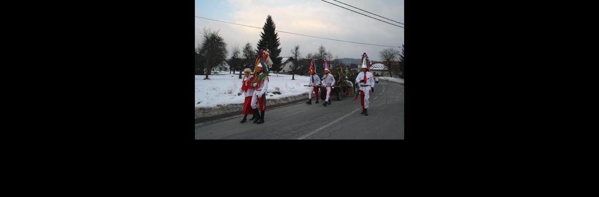 Ponikovske mačkare(Foto Tjaša Zidarič, 2015)