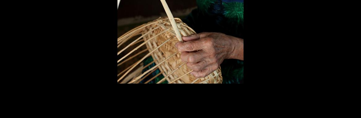 Pletarstvo(Foto Matej Povše, 2014)