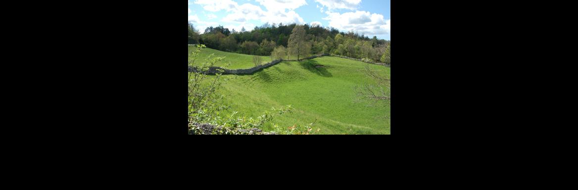 Suhozidna gradnja(Foto Eda Belingar, 2014)