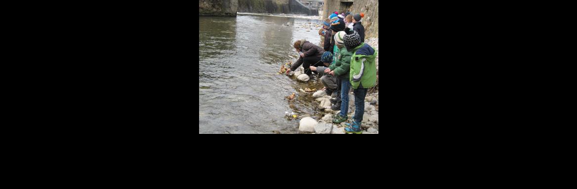 Spuščanje gregorčkov(Foto Bojan Knific, 2015)