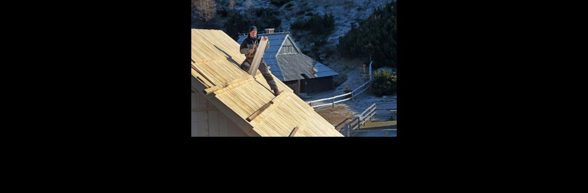 Skodlarstvo(Foto Matej Povše, 2011)