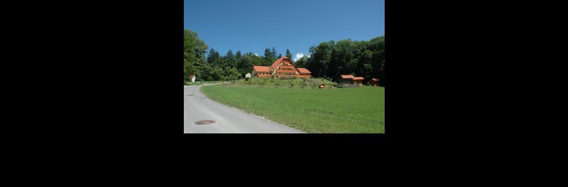 Čebelarstvo(Foto Franc Šivic, 2004)