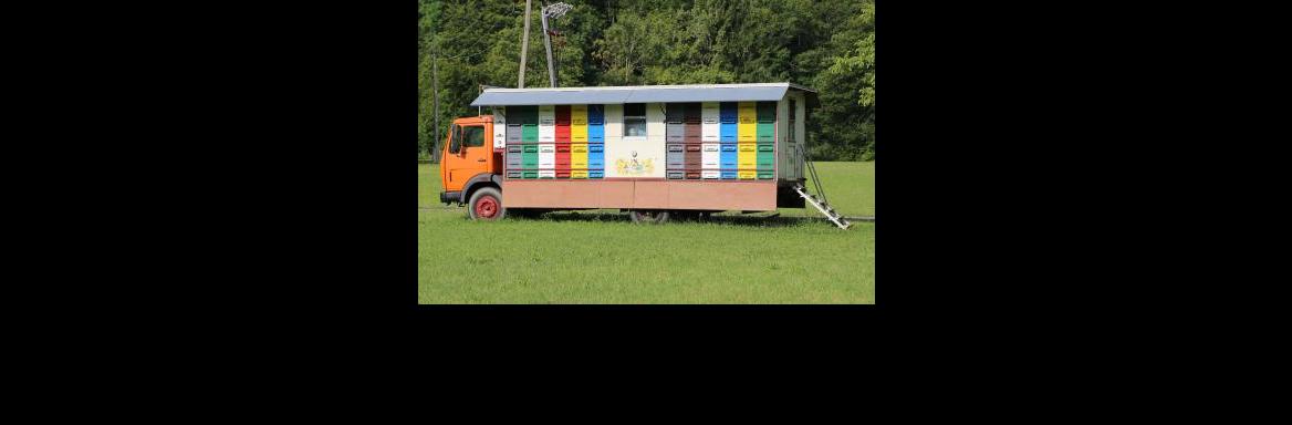 Prevozno čebelarstvo(Foto Miha Špiček, 2017)