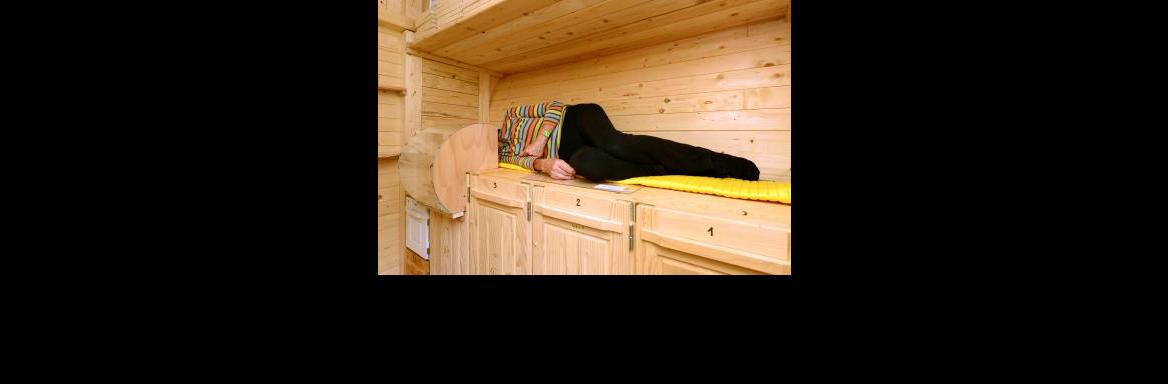 Apiterapija(Foto Franc Šivic, 2016)