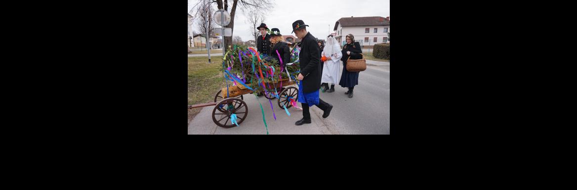 Vleka ploha(Foto Miha Špiček, 2019)