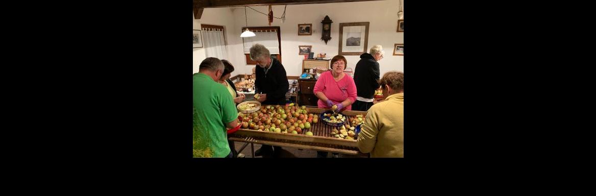 Člani Društva za ohranjanje dediščine z Gradeža med pripravo sadja za sušenje. (Foto Metka Starič, 2019)
