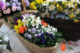 Foto: Anja Jerin, 2015. 